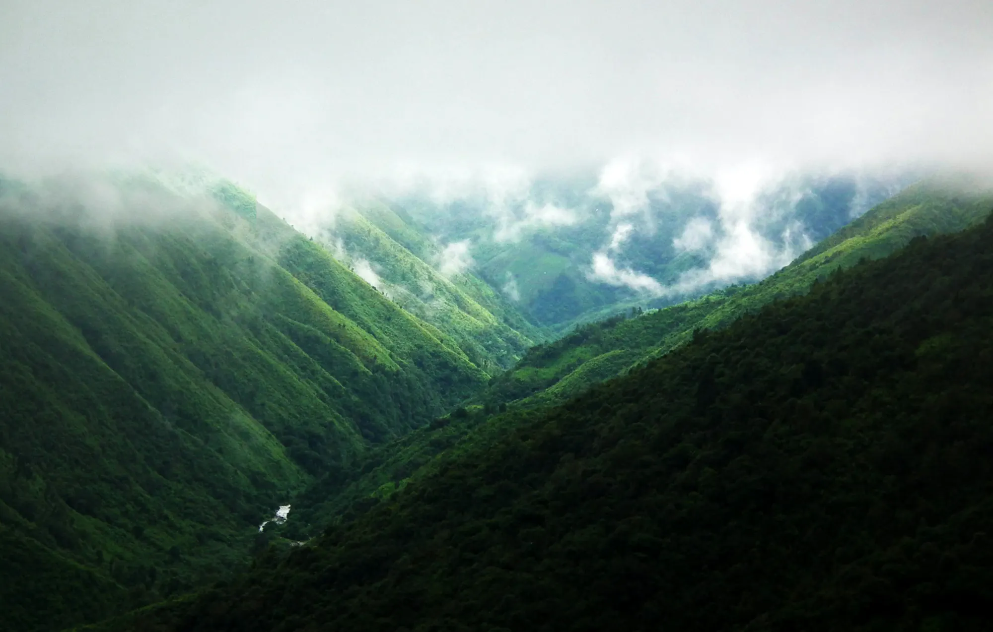 Mist over the hills of Meghalaya